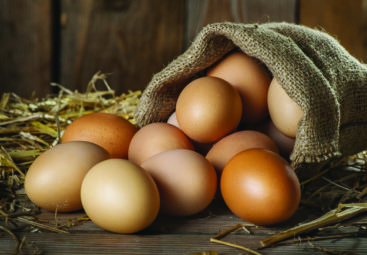 Comment reconnaître l’œuf d’une poule heureuse ?